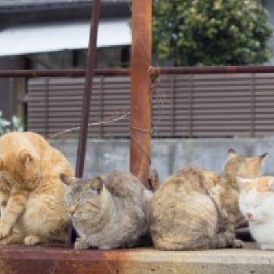 関西からの男木島の楽しみ方